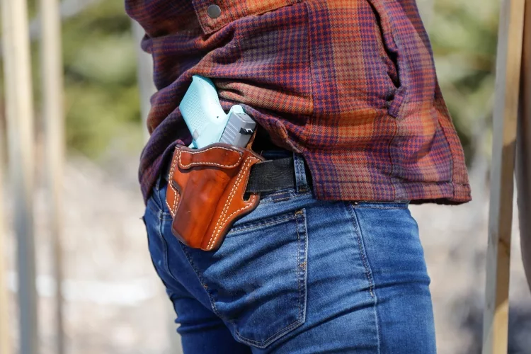Top 10 Best Sig P365 Holsters: