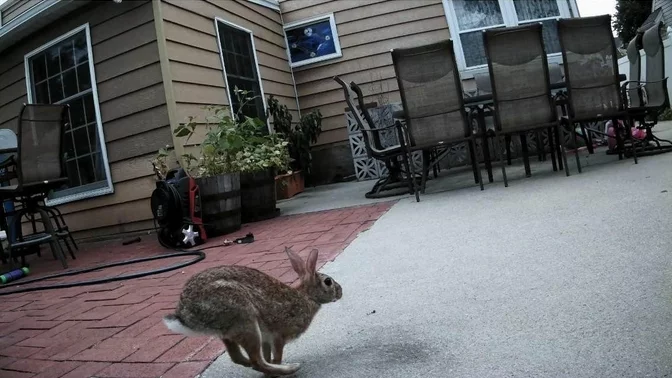 Recapping The Video - Lock Bumping Solutions with Root Junky