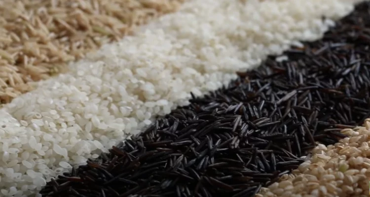 Dried Rice