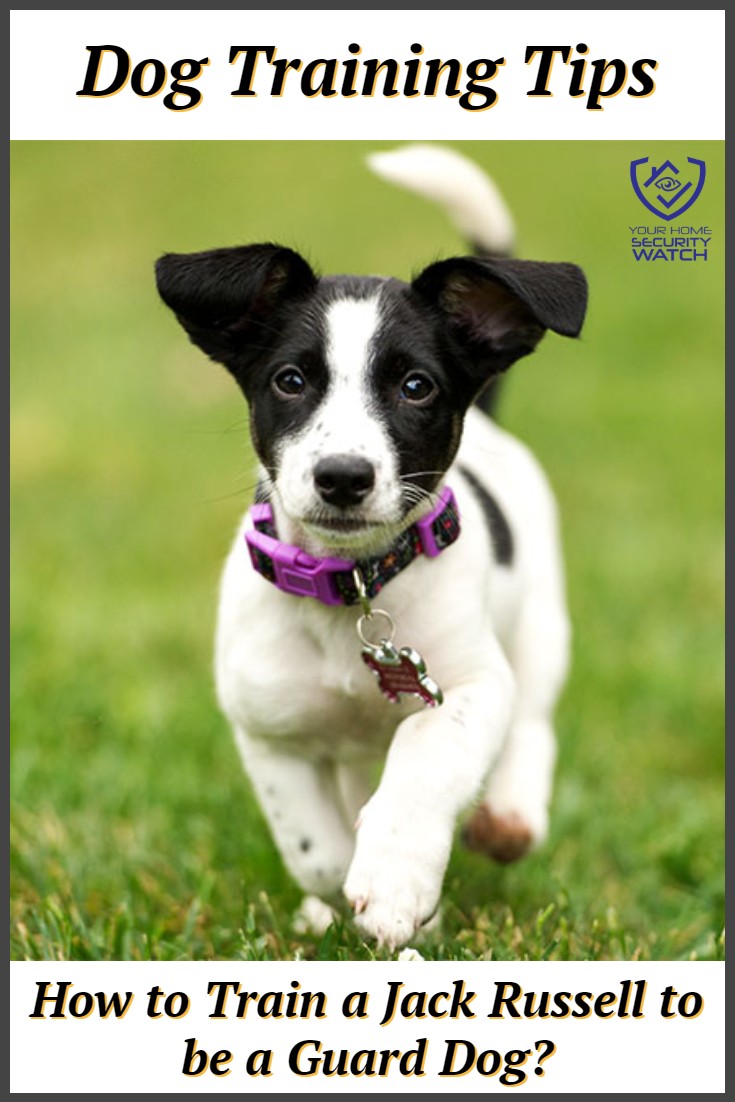 Tips for In The Yard