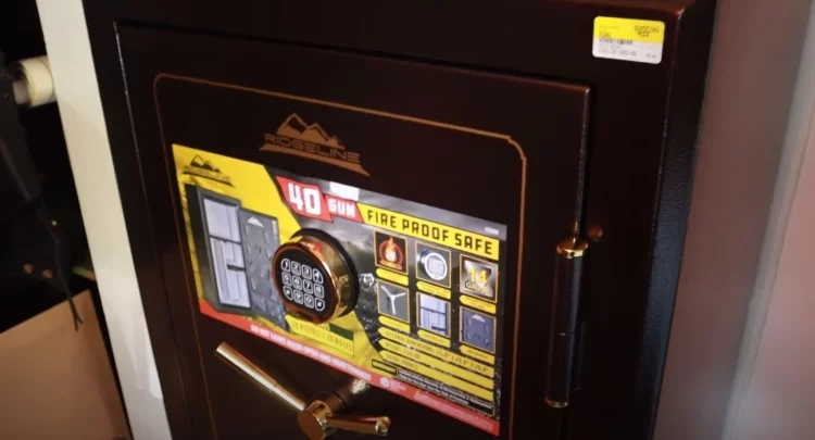 Larger and Professional Safes