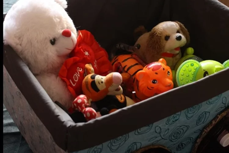 Animals That Are Stuffed