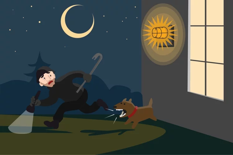 Top 7 Best Product Reviews of the Best Barking Dog Alarms In 2023