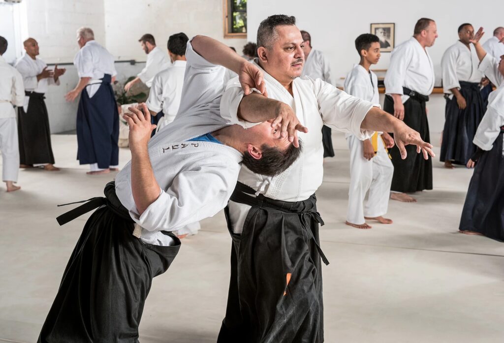Aikido School Of New Jersey