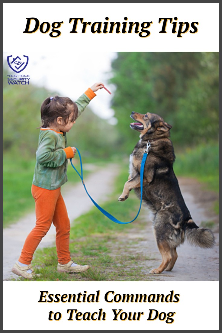 Benefits of Obedience Training for Your Dog or Pup